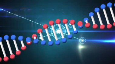 DNA iplikçiklerinin istatistiklerle olan bağlantı ağının üzerinden geçirilmesi. küresel sosyal medya, dijital arayüz, teknoloji ve bağlantılar konsepti dijital olarak oluşturulmuş video.