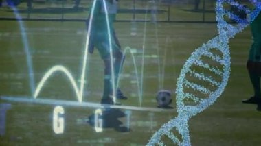 Futbol oyuncuları üzerinde DNA iplikçiklerinin dönmesi ve veri işleme animasyonu. global spor, dijital arayüz, teknoloji ve ağ konsepti dijital olarak oluşturulmuş video.