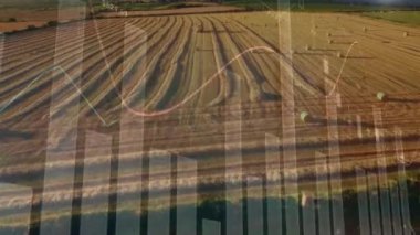 Tarım alanında istatistik ve finansal veri işleme animasyonu. küresel tarım, işletme, dijital arayüz, teknoloji ve ağ konsepti dijital olarak oluşturulmuş video.