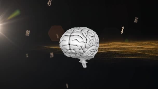 Nsan Beyninin Animasyonu Sayılar Işleniyor Küresel Bilim Kimlik Dijital Arayüz — Stok video