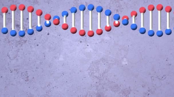 Animazione Del Filamento Del Dna Reti Connessioni Sfondo Blu Interfaccia — Video Stock