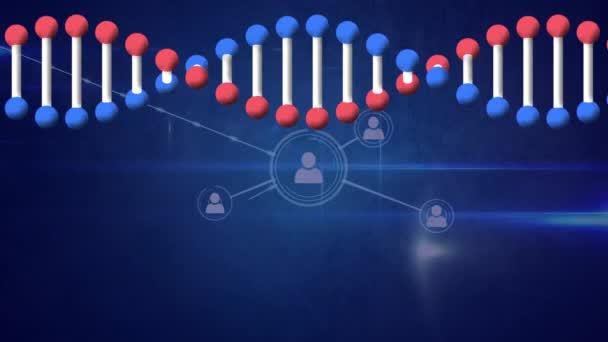 在蓝色背景上动画Dna链和连接网络 全球数字接口 技术和网络概念 — 图库视频影像