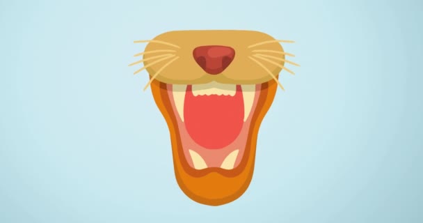 Animation Muzzle Wild Big Cat Mouth Open Blue Background Zoo — Stock Video