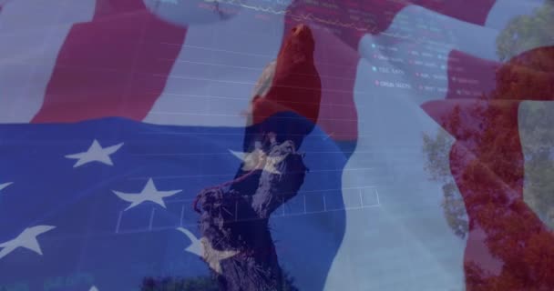 Animación Bandera Americana Béisbol Águila Procesamiento Datos Patriotismo Americano Finanzas — Vídeos de Stock