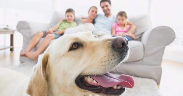 幸せな白人家族とかわいいラブラドールペット犬のアニメーション 家庭生活とペット同伴者のコンセプトデジタルで生成されたビデオ — ストック動画