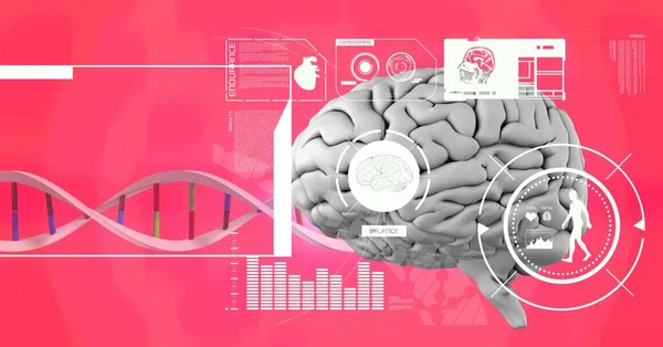 Medical data processing over dna structure and human brain against pink gradient background. medical research and science technology concept