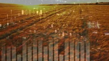 Tarım alanında istatistik ve finansal veri işleme animasyonu. küresel tarım, işletme, dijital arayüz, teknoloji ve ağ konsepti dijital olarak oluşturulmuş video.