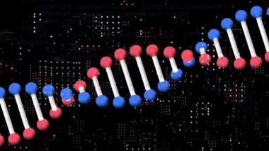 Siyah üzerine 3D model DNA ipliği ve veri işleme animasyonu. küresel iletişim ve tıbbi araştırma veri teknolojisi konsepti, dijital olarak oluşturulmuş video.