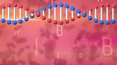 3D DNA iplikçiklerinin döndürülmesi, hareket eden harflerin ve pembe hücrelerin üzerinde döndürülmesi. küresel tıbbi araştırma teknolojisi ve dijital arayüz konsepti, dijital olarak oluşturulmuş video.
