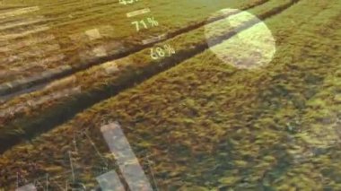 Tarım alanında finansal veri işleme animasyonu. küresel tarım, işletme, dijital arayüz, teknoloji ve ağ konsepti dijital olarak oluşturulmuş video.