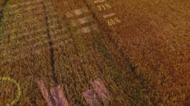 Tarım alanında istatistik ve finansal veri işleme animasyonu. küresel tarım, işletme, dijital arayüz, teknoloji ve ağ konsepti dijital olarak oluşturulmuş video.