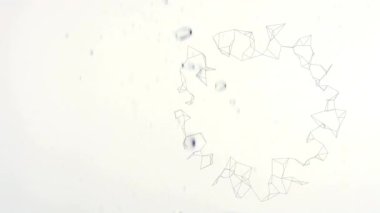 Beyaz zemin üzerine işlenmemiş elmasların düştüğü ağ dönüşümünün animasyonu. kutlama, parti ve olay konsepti dijital olarak oluşturulmuş video.