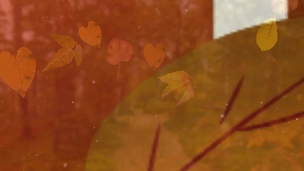 Animation Text Autumn Sale Falling Leaves Purple Trails Autumn Forest — Stock Video