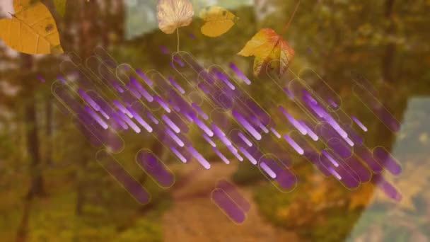 Animation Texte Vente Automne Avec Des Feuilles Tombantes Des Sentiers — Video