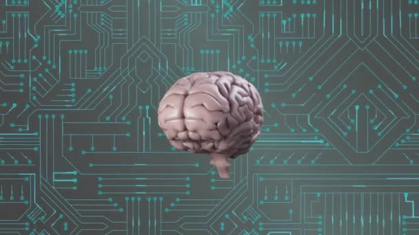 Animación Del Cerebro Humano Procesamiento Datos Placa Circuito Ciencia Global — Vídeo de stock