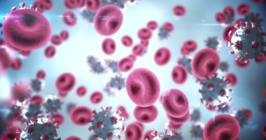 Makro Coronavirus Covid-19 ve bir damarda dolaşan kırmızı kan hücrelerinin görüntüsü. Halk sağlığı salgını Coronavirus Covid 19 salgın konsepti dijital olarak üretildi. 4k
