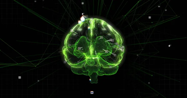 Εικόνα Του Τρισδιάστατου Πράσινου Λαμπερού Ανθρώπινου Εγκεφάλου Δίκτυο Συνδέσεων Και — Φωτογραφία Αρχείου