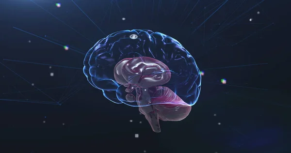 青の背景に接続とデータ処理のネットワークを持つ3D青輝く人間の脳の画像 グローバル医療科学研究の概念デジタル生成画像 — ストック写真