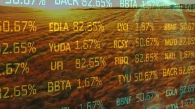 Tarım alanında finansal veri işleme animasyonu. küresel tarım, işletme, dijital arayüz, teknoloji ve ağ konsepti dijital olarak oluşturulmuş video.