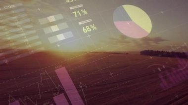 Tarım alanında istatistik ve finansal veri işleme animasyonu. küresel tarım, işletme, dijital arayüz, teknoloji ve ağ konsepti dijital olarak oluşturulmuş video.