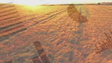 Tarım alanında istatistik ve finansal veri işleme animasyonu. küresel tarım, işletme, dijital arayüz, teknoloji ve ağ konsepti dijital olarak oluşturulmuş video.