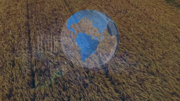 Animation Der Global Und Finanzdatenverarbeitung Der Landwirtschaft Global Farming Business — Stockvideo