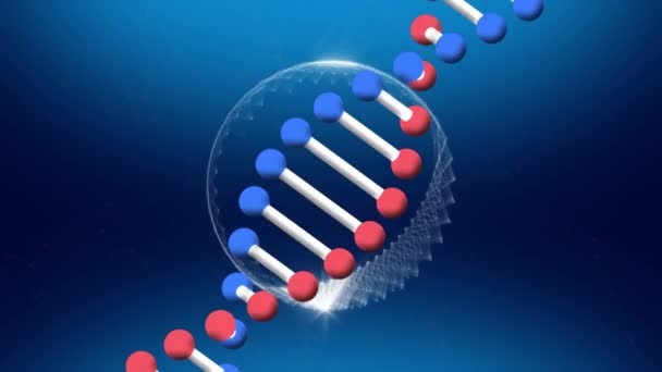 Animering Dna Strängen Snurrar Över Jordklotet Blå Bakgrund Global Verksamhet — Stockvideo