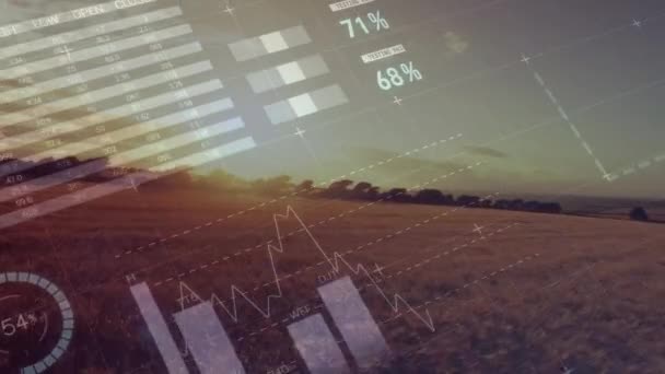 Animación Estadísticas Procesamiento Datos Financieros Campo Agricultura Agricultura Global Negocios — Vídeos de Stock