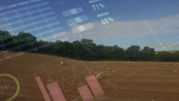 Animación Estadísticas Procesamiento Datos Financieros Campo Agricultura Agricultura Global Negocios — Vídeo de stock