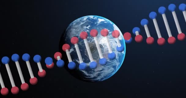 Animazione Del Filamento Del Dna Che Gira Intorno Globo Scienza — Video Stock