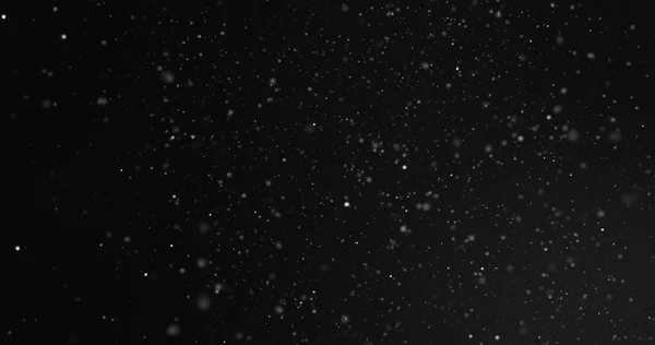 Partículas Brancas Desfocadas Flutuando Sobre Fundo Preto Conceito Comprimento Cor — Fotografia de Stock