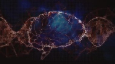 Karanlık arka planda insan beyninin üzerindeki DNA 'nın animasyonu. küresel bağlantılar, dijital arayüz, teknoloji ve ağ konsepti dijital olarak oluşturulmuş video.