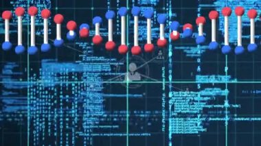 Bağlantı ağları ve DNA iplikleriyle veri işleme animasyonu. küresel bağlantılar, teknoloji, dijital arayüz ve bağlantılar konsepti dijital olarak oluşturulmuş video.