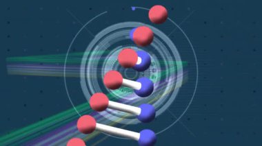 Kapsam taraması ve bağlantı ağının üzerindeki DNA iplikçiklerinin animasyonu. küresel bağlantılar, dijital arayüz, teknoloji ve ağ konsepti dijital olarak oluşturulmuş video.