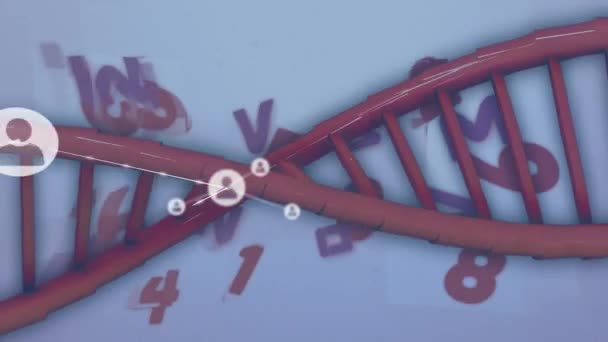 Animazione Della Rete Connessioni Tramite Codice Del Dna Vita Biologia — Video Stock