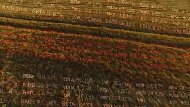 Animazione Dell Elaborazione Dei Dati Finanziari Nel Settore Agricolo Agricoltura — Video Stock