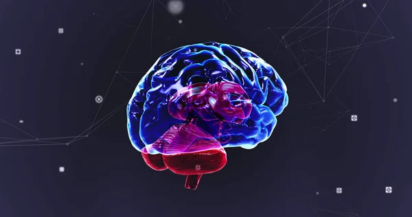 Afbeelding Van Blauw Gloeiende Menselijke Hersenen Met Netwerk Van Verbindingen — Stockfoto