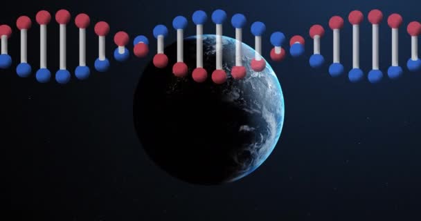 Animazione Del Filamento Del Dna Che Gira Intorno Globo Scienza — Video Stock