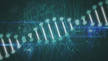 Siyah arkaplan üzerindeki bağlantı ağları üzerinden DNA iplikçiklerinin canlandırılması. 