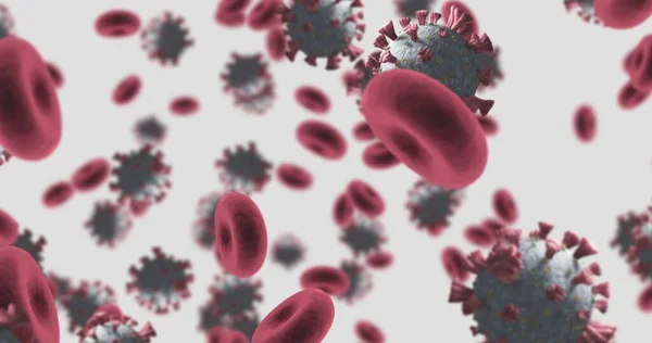 Εικόνα Του Μακροϊού Coronavirus Covid Και Των Ερυθρών Αιμοσφαιρίων Που — Φωτογραφία Αρχείου