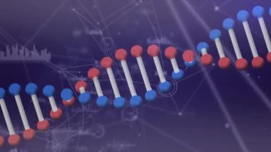 DNA iplikçiklerinin bağlantı ağı üzerinden animasyonu. küresel bağlantılar, dijital arayüz, teknoloji ve ağ konsepti dijital olarak oluşturulmuş video.