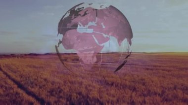 Tarım alanı üzerinde küresel ve finansal veri işleme animasyonları. küresel tarım, işletme, dijital arayüz, teknoloji ve ağ konsepti dijital olarak oluşturulmuş video.