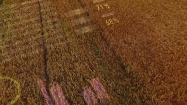 Tarım alanında finansal veri işleme animasyonu. küresel tarım, işletme, dijital arayüz, teknoloji ve ağ konsepti dijital olarak oluşturulmuş video.