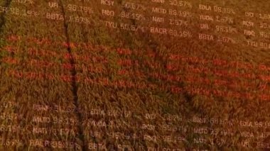 Tarım alanında finansal veri işleme animasyonu. küresel tarım, işletme, dijital arayüz, teknoloji ve ağ konsepti dijital olarak oluşturulmuş video.