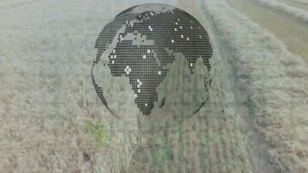 Animação Globo Processamento Dados Financeiros Sobre Campo Agricultura Conceito Agricultura — Vídeo de Stock