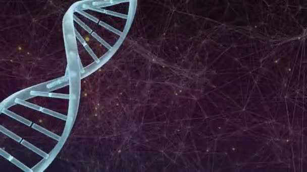 Animering Dna Strängen Snurrar Över Nätverk Anslutningar Globala Anslutningar Digitalt — Stockvideo