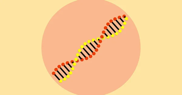 薄い黄色の背景にデジタル3D赤 黄色と黒の二重らせんDna鎖の画像 医学遺伝学の概念はデジタル的に生成された画像 — ストック写真