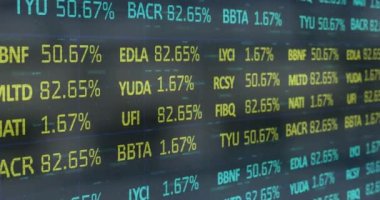 Finansal veri işleme animasyonu. küresel iş, bağlantılar, dijital arayüz, teknoloji ve ağ konsepti dijital olarak oluşturulmuş video.