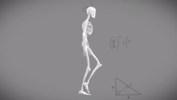 Animação Equações Matemáticas Sobre Esqueleto Educação Global Ciência Interface Digital — Vídeo de Stock