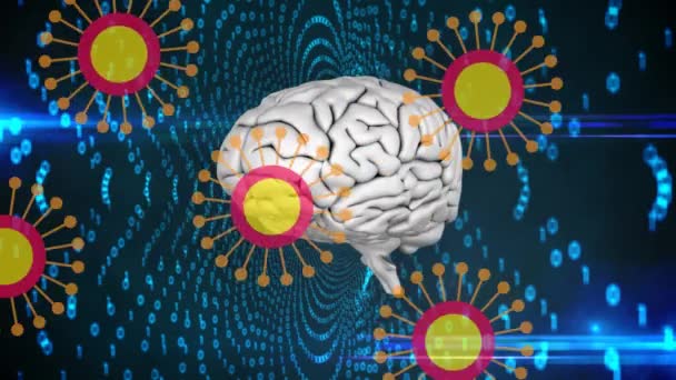 ヒトの脳が回転する19個の細胞のアニメーション 世界中で流行している19の概念をデジタルで — ストック動画